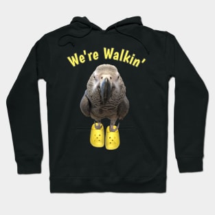 African Grey Parrot Walking Exercise Hoodie